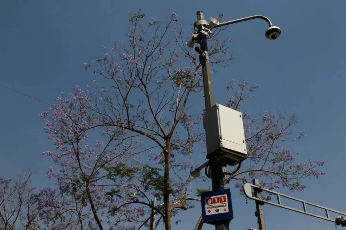 Cámara urbana de videovigilancia montada en un poste junto a árboles y señalización del 911, bajo un cielo azul