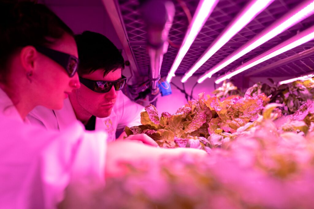 pexels-thisisengineering-3912479 Investigador analiza muestras de cultivos en laboratorio como parte del proceso de registro del primer biofungicida de RNA, producto biotecnológico que protege plantas sin dejar residuos tóxicos.