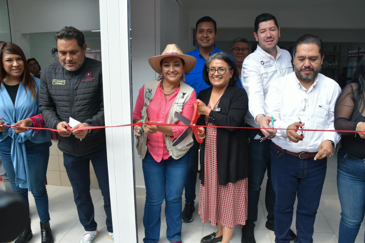 Estantes con productos de abasto y limpieza exhibidos dentro de una tienda