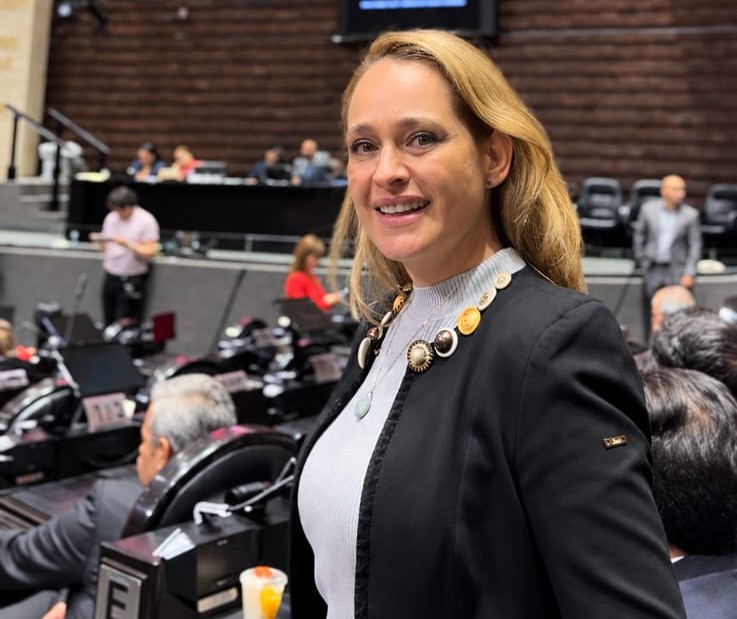 Mujer de cabello rubio y saco oscuro en el salón de sesiones de una cámara legislativa, con curules y personas al fondo